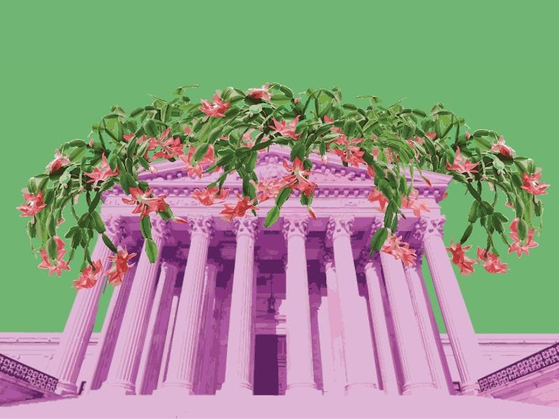 Aperçu de Capital Fringe 2023 : "Je m'appelle Norma"