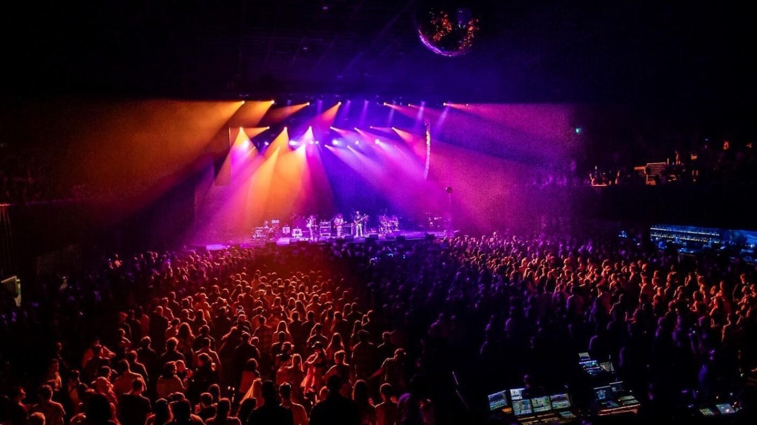 Dogs In A Pile Plan Printemps 2024 Résidence en Californie