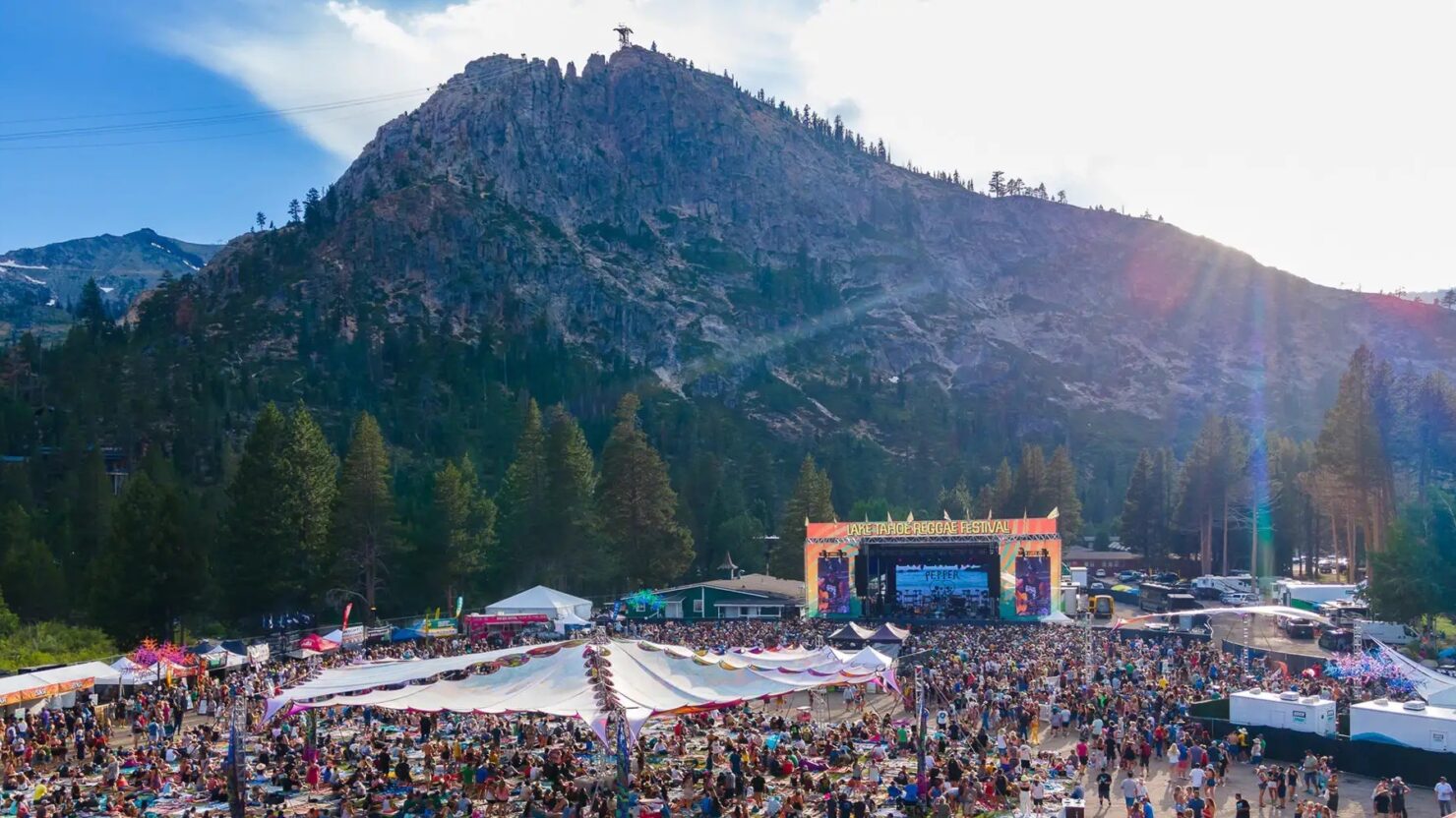 Cypress Hill, Shaggy, Rebelution et plus