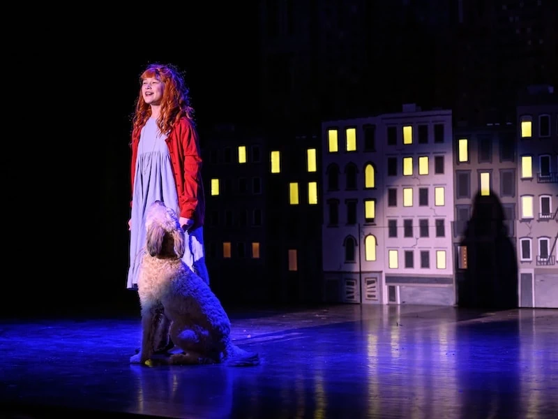 Le Petit Théâtre d'Alexandrie adopte une « Annie » sympathique et réconfortante