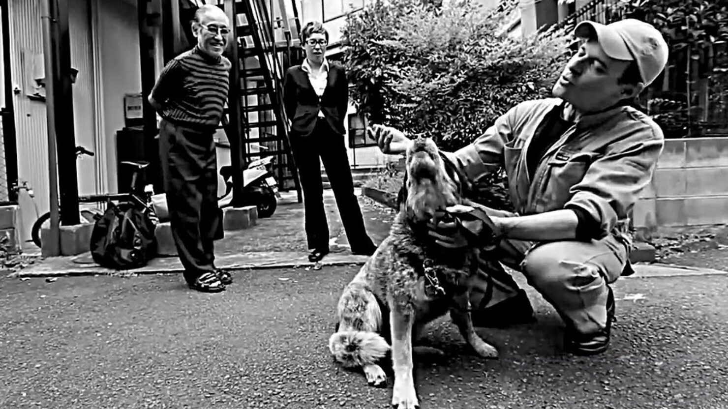 Écoutez la nouvelle reprise de David Lee Roth d'un classique de Tommy Tutone