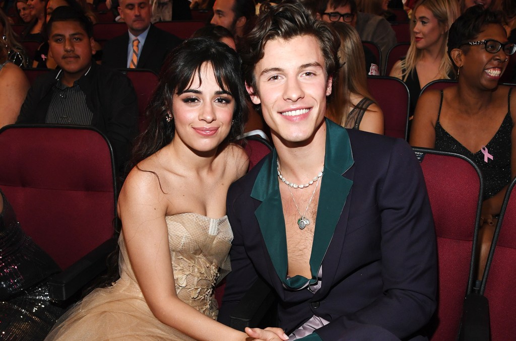 Camila Cabello et Shawn Mendes aperçus ensemble lors de la finale de la Copa América
