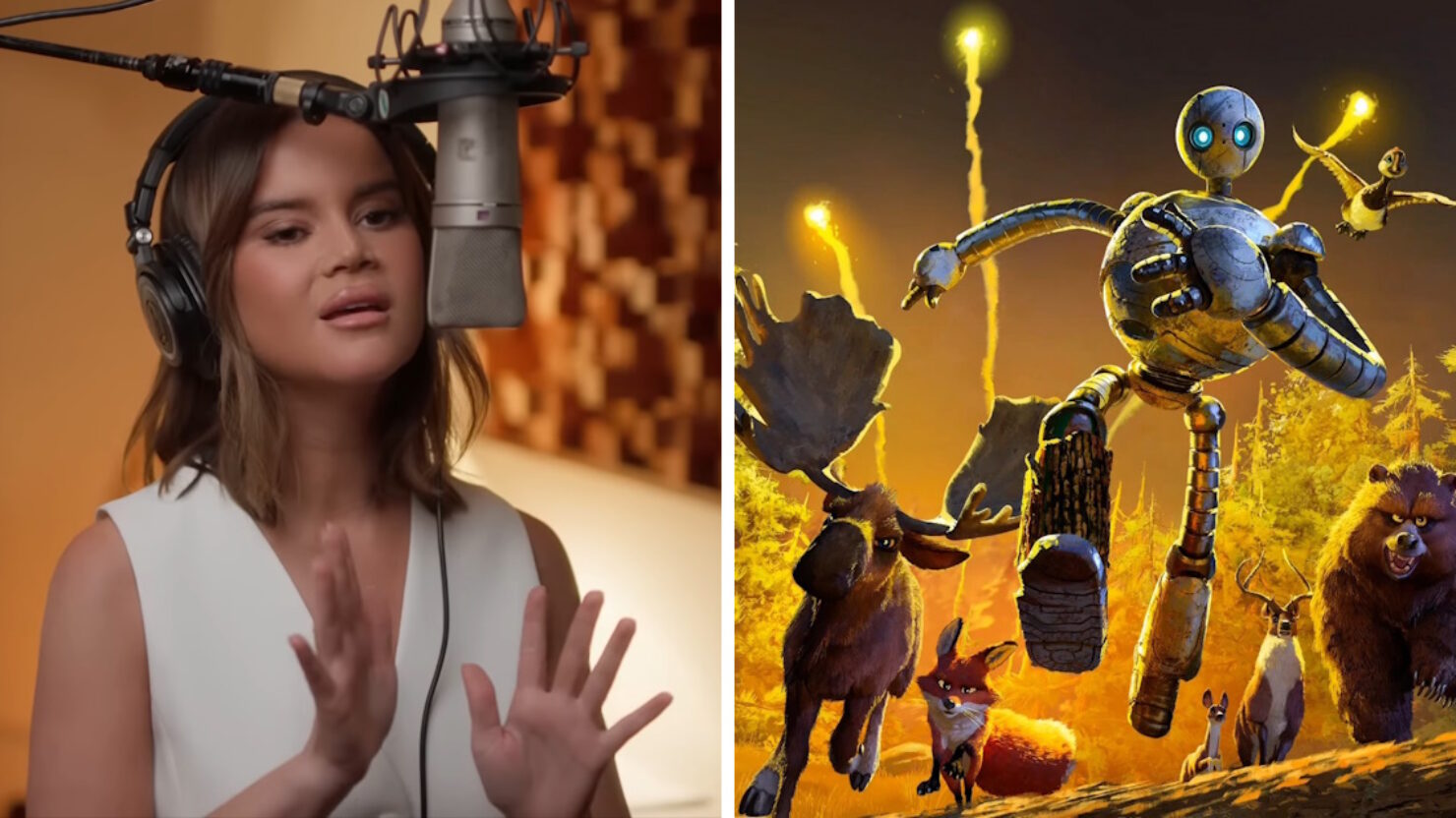 Maren Morris partage la chanson « Kiss The Sky » de « The Wild Robot »