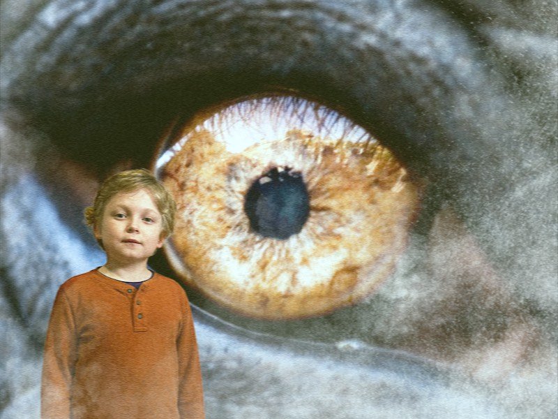 Récapitulatif des « Enquêtes surnaturelles » amusantes et créatives du Théâtre Rorschach