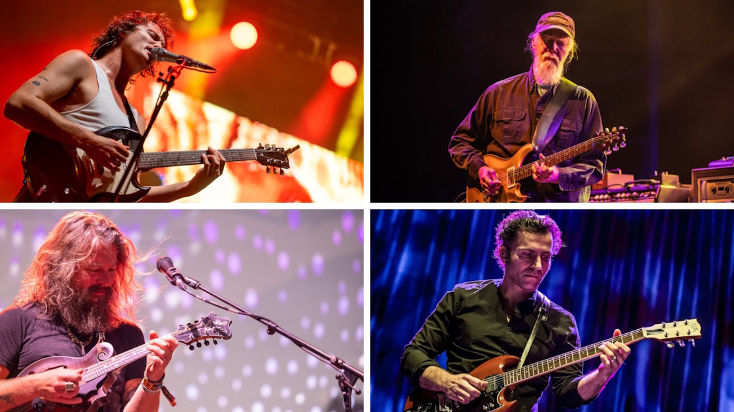Obtenez des billets pour voir King Gizzard, Widespread Panic, Greensky Bluegrass, Dweezil Zappa et plus