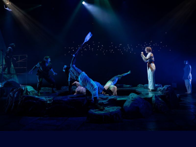 Les « Métamophoses » d'Ovide à l'Université du Maryland sont une véritable œuvre d'art