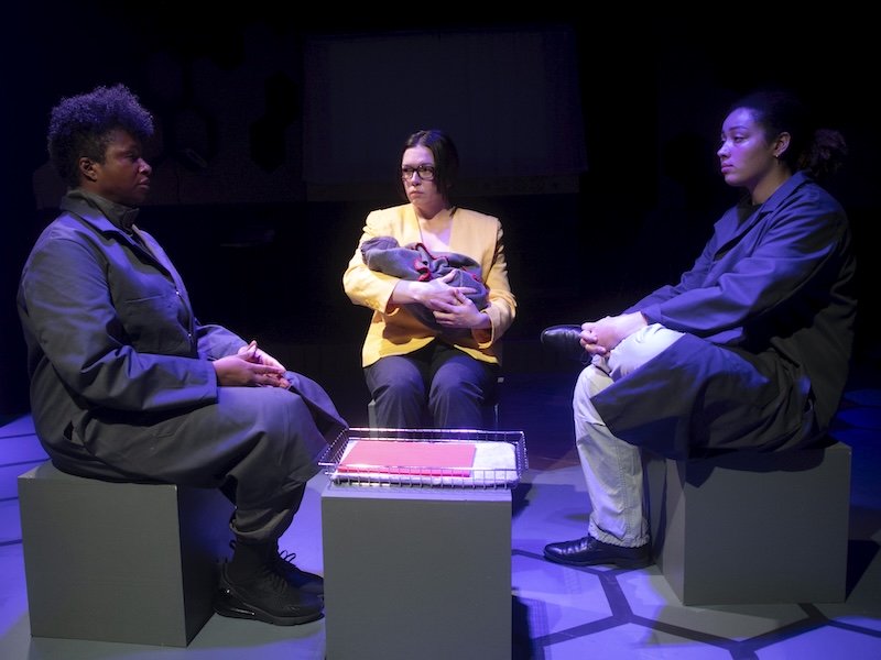 Un avenir sans humanité dans « Honey Bee Baby » de Rapid Lemon Productions