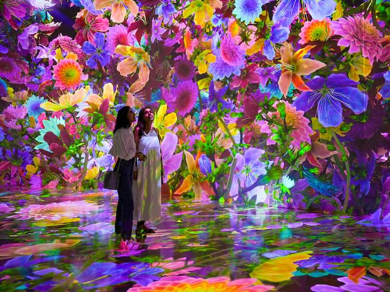 L'affichage `` Blooming Wonders '' d'Artechouse mérite des bouquets
