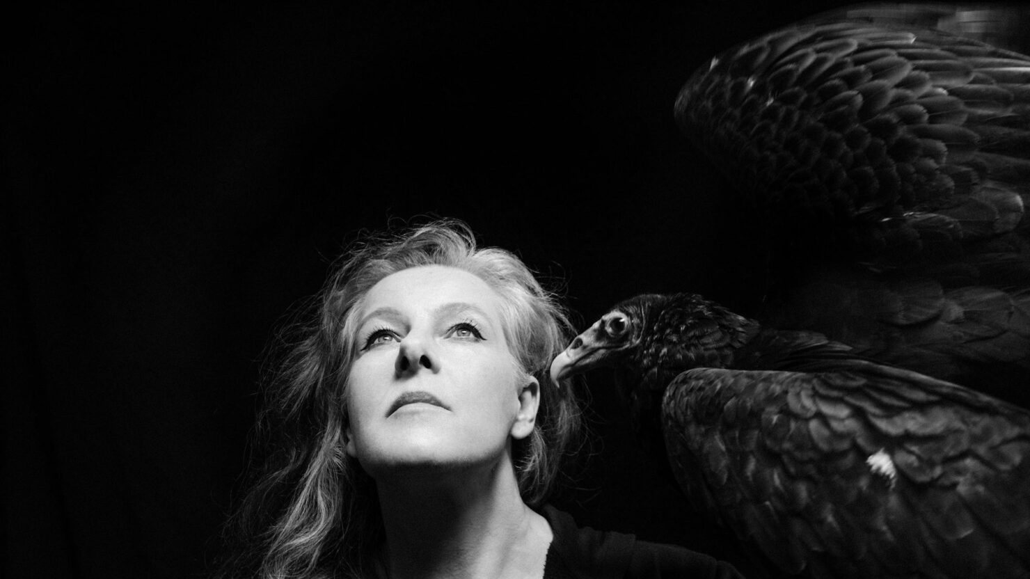 Neko Case décrit 2025 Dates de tournée d'automne nord-américaine