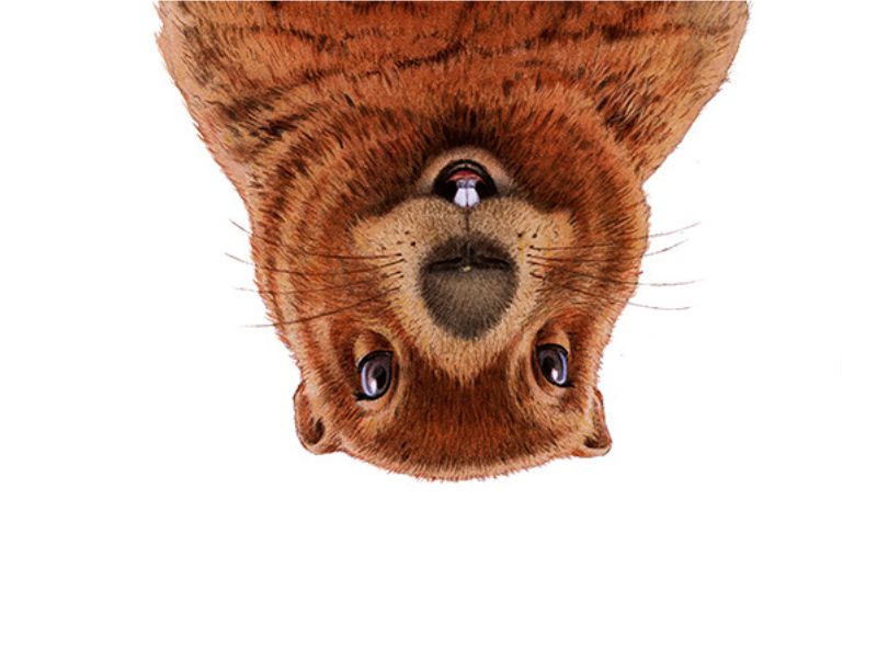 `` Groundhog Day '' prévoit le bonheur à Annapolis Summer Garden Theatre