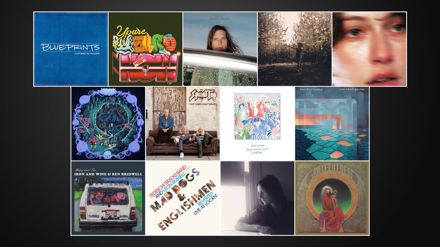 Ne manquez pas les nouveaux albums de McGee d'Umphrey, Guerilla Toss, fruits Bats, Josh Ritter et plus
