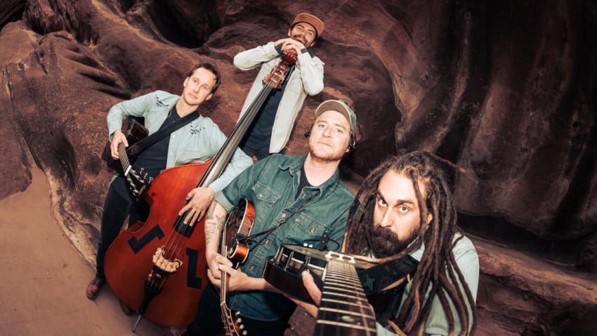 Habitants de la cuisine