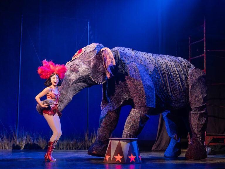 Des numéros aériens sous chapiteau soulèvent « De l&rsquo;eau pour les éléphants » en tournée au National