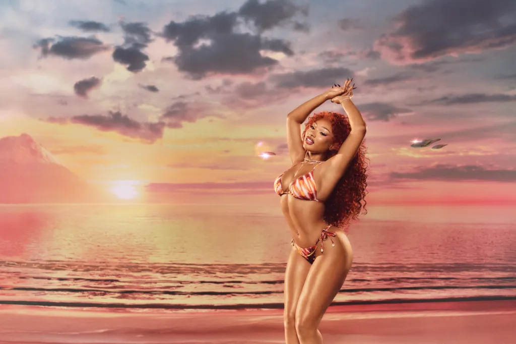 Megan Thee Stallion lance sa deuxième collection de maillots de bain d'été Hot Girl pour hommes, femmes et animaux de compagnie