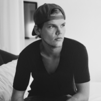 La plate-forme en ligne Avicii étendue comprend des séquences de spectacles, des setlists et bien plus encore – et les fans peuvent y contribuer