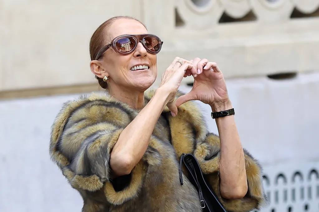 Céline Dion monte au sommet d'une voiture pour chanter avec une foule de fans à Paris